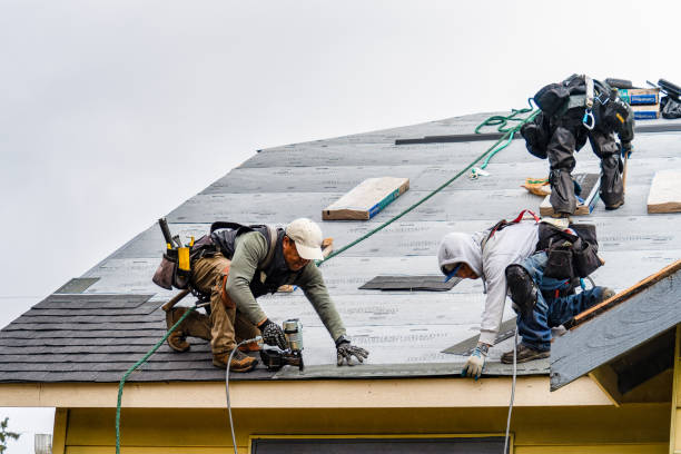 Professional Gutter Installation technician working in Princeton, WI